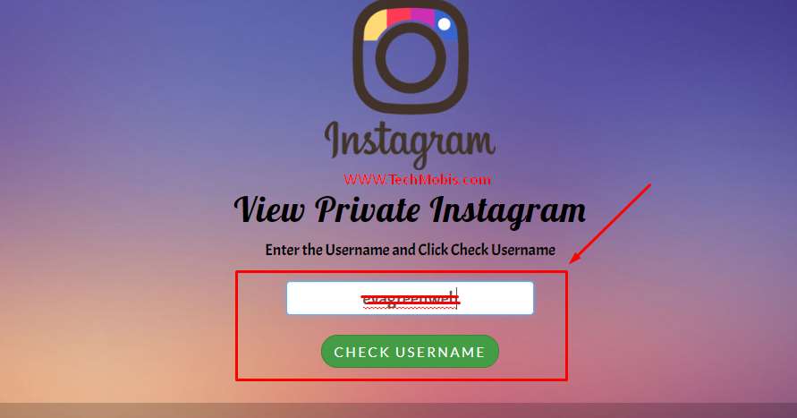 instagram private profile viewer no verification